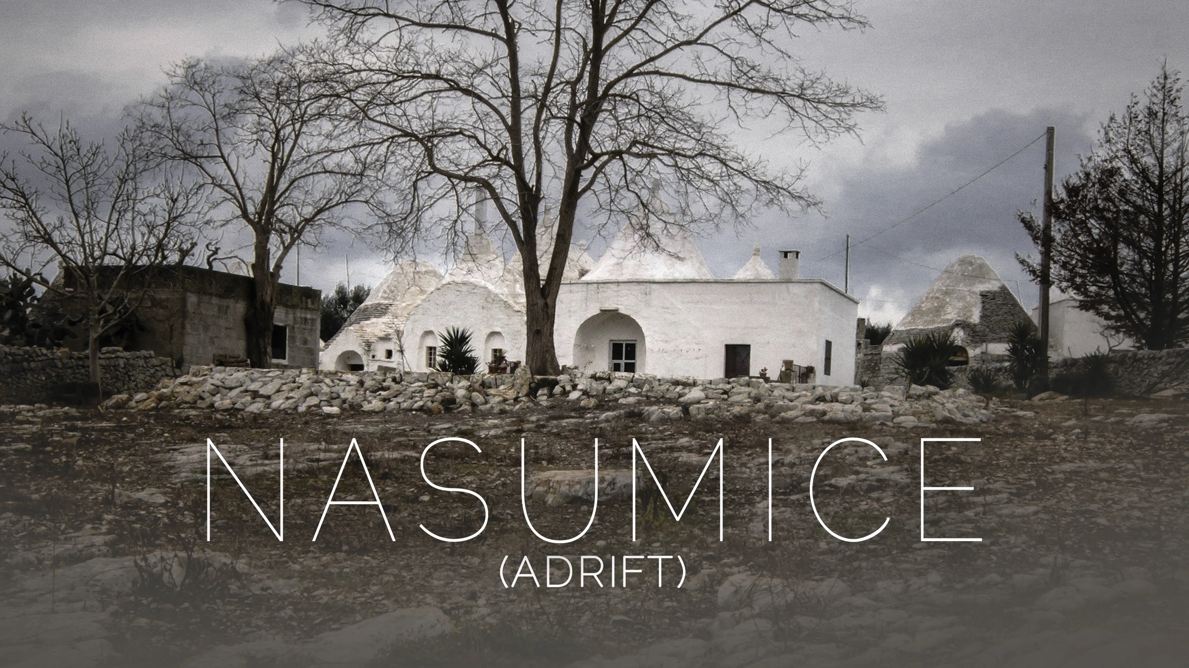 Nasumice (Adrift) poster